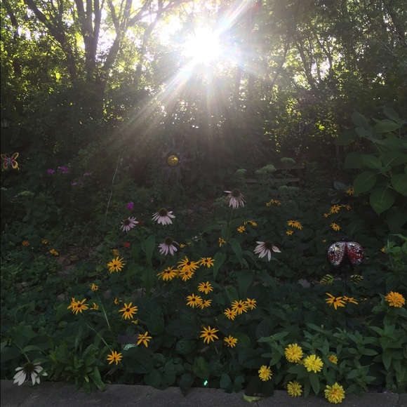 Meet your Posher, Laura - Picture 13 of 16